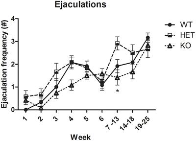 Frontiers Tramadol s Inhibitory Effects on Sexual Behavior